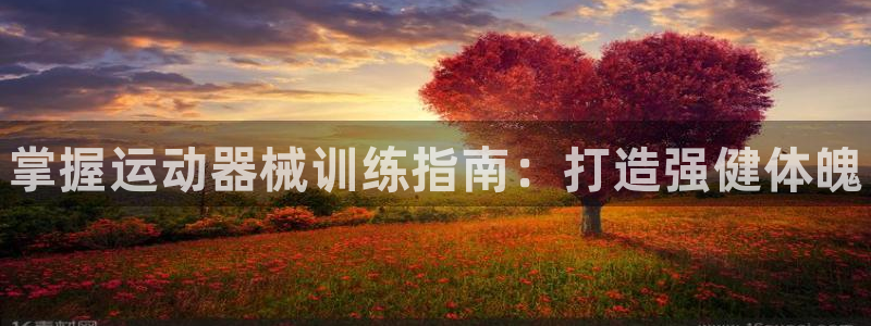 尊龙官方:掌握运动器械训练指南:打造强健体魄