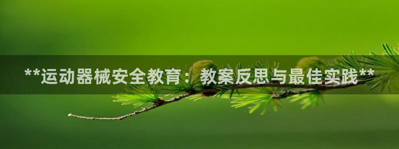 尊龙AG旗舰店:**运动器械安全教育:教案反思与最佳实践**